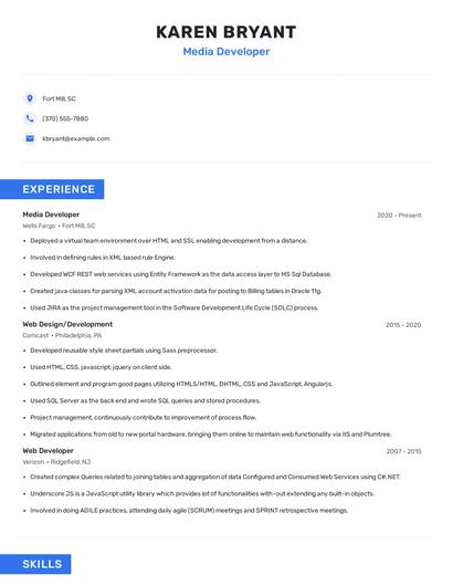 Media Developer Resume