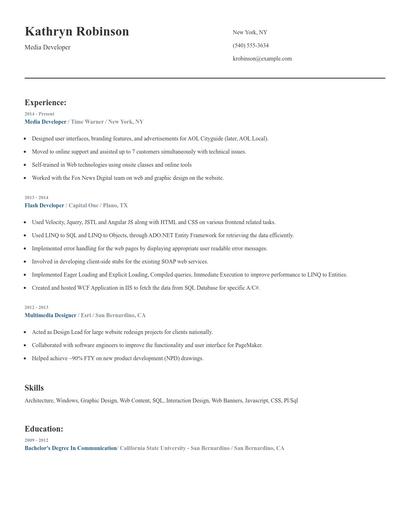 Media Developer Resume