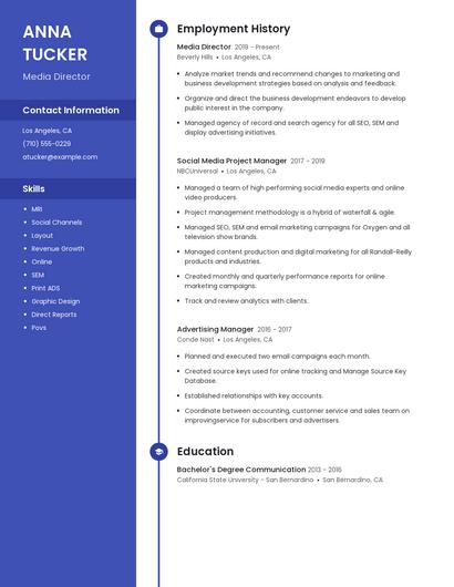 Media Director Resume
