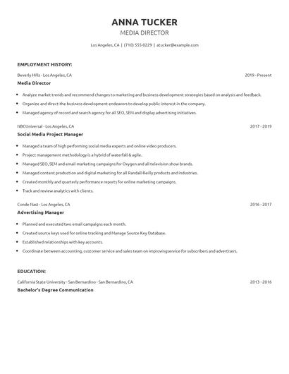 Media Director Resume