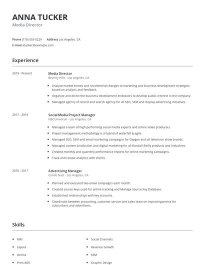 Media Director Resume