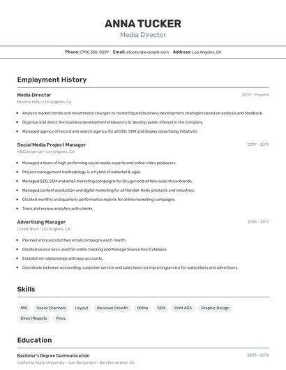 Media Director Resume