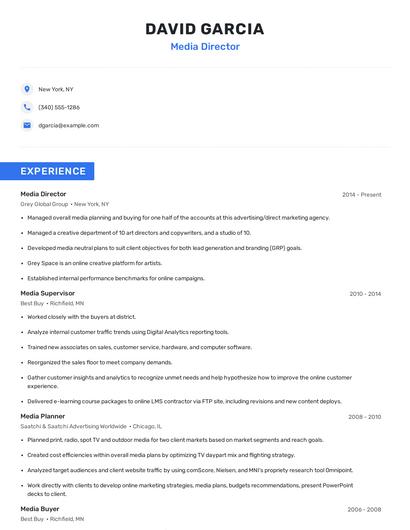 Media Director Resume