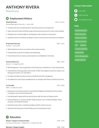 Media Director Resume