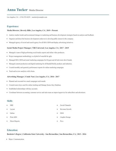 Media Director Resume