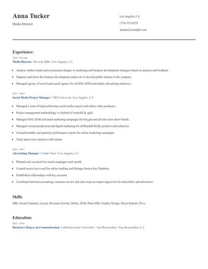 Media Director Resume