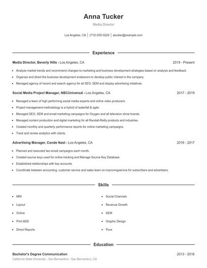 Media Director Resume