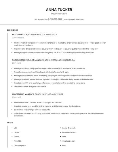 Media Director Resume