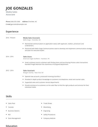 Media Sales Associate Resume