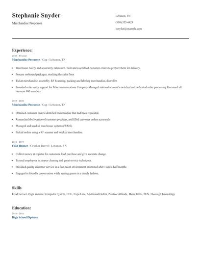Merchandise Processor Resume