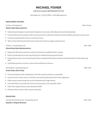 Metals Sales Representative Resume
