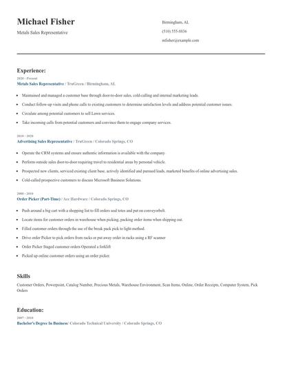 Metals Sales Representative Resume