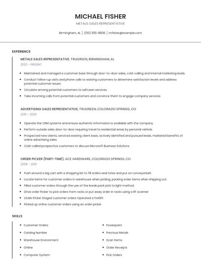 Metals Sales Representative Resume