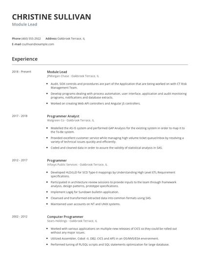 Module Lead Resume