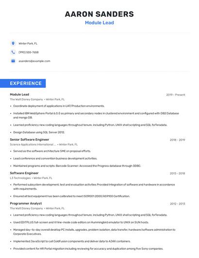 Module Lead Resume