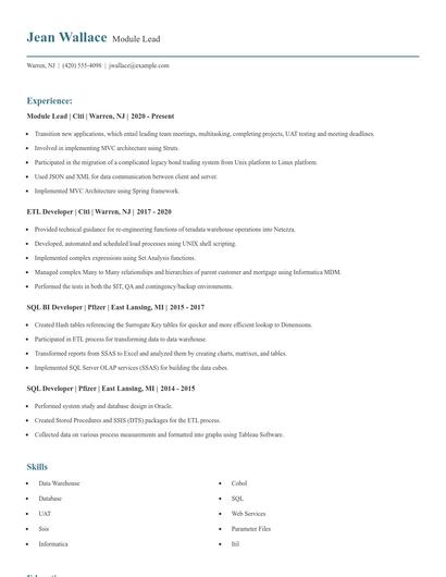 Module Lead Resume