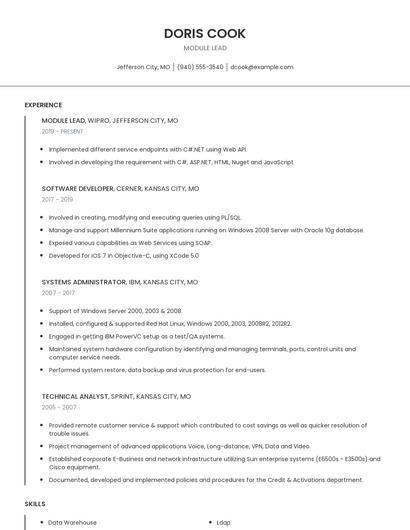 Module Lead Resume