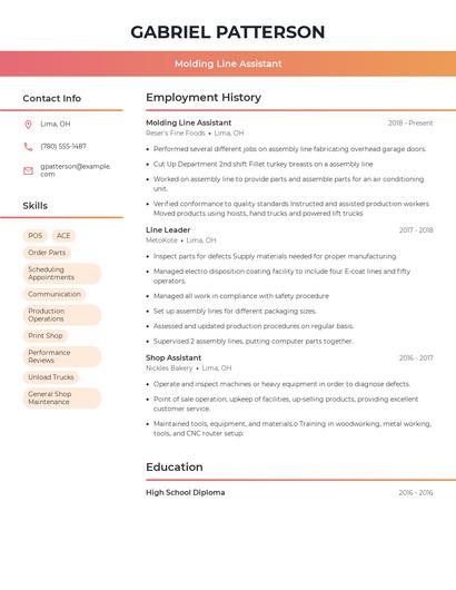 Molding Line Assistant Resume