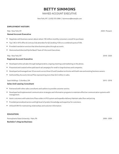 Named Account Executive Resume