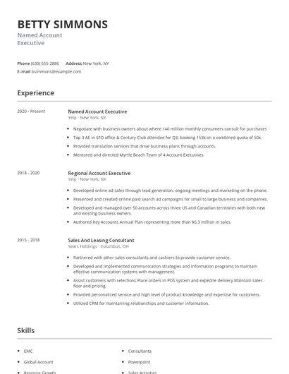 Named Account Executive Resume