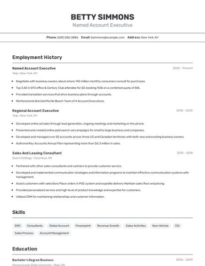 Named Account Executive Resume