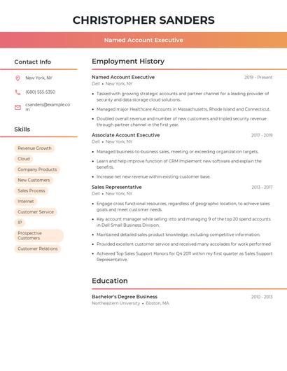 Named Account Executive Resume
