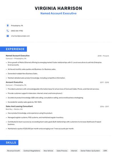 Named Account Executive Resume