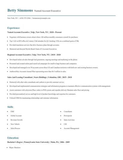 Named Account Executive Resume