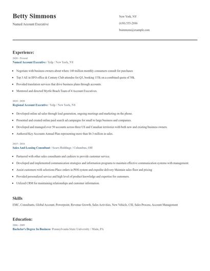 Named Account Executive Resume