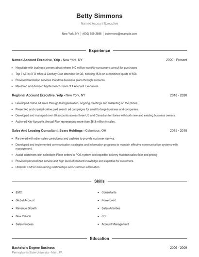 Named Account Executive Resume