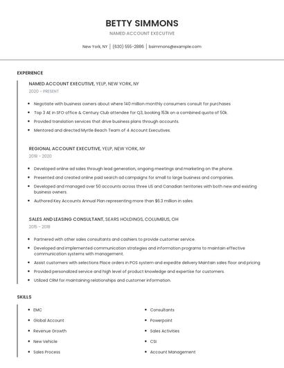 Named Account Executive Resume