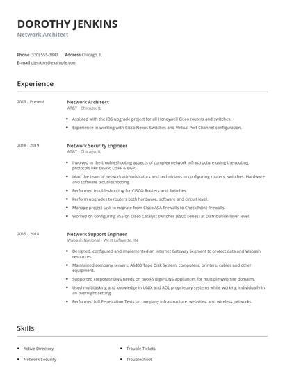 Network Architect Resume