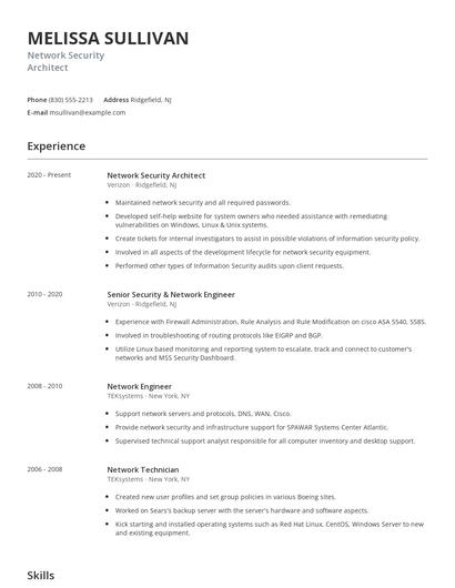 Network Security Architect Resume