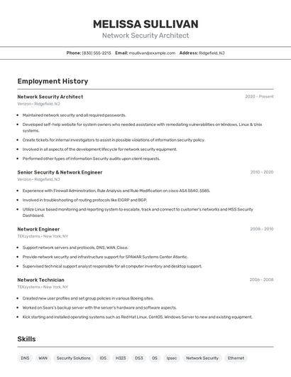 Network Security Architect Resume