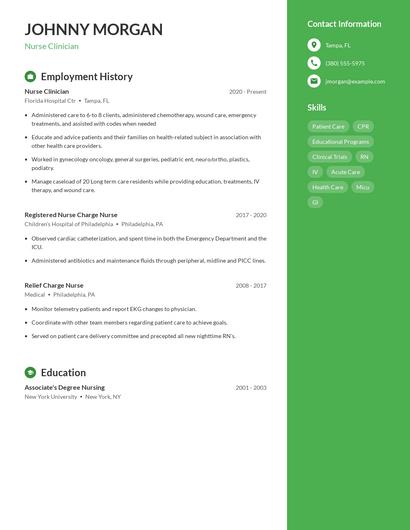 Nurse Clinician Resume