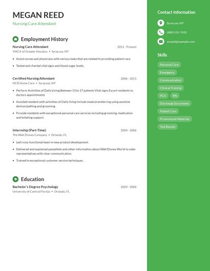 Nursing Care Attendant Resume