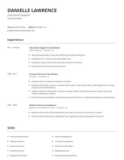 Operation Support Coordinator Resume