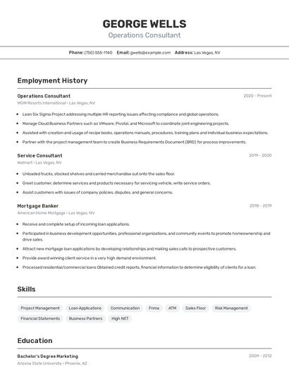Operations Consultant Resume