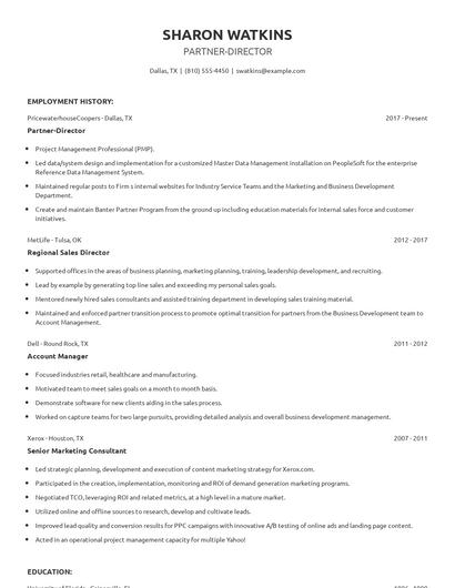 Partner-Director Resume