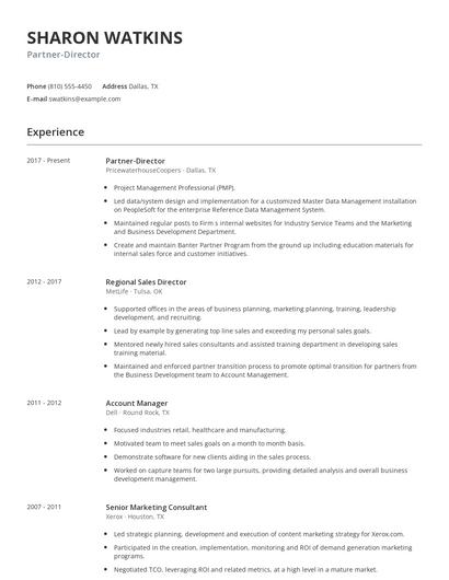 Partner-Director Resume
