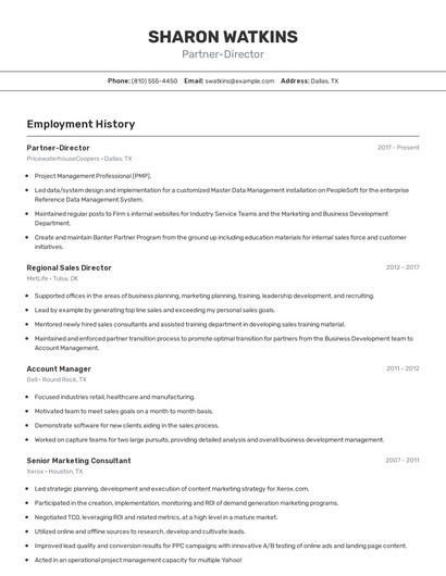 Partner-Director Resume