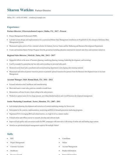 Partner-Director Resume