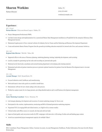 Partner-Director Resume