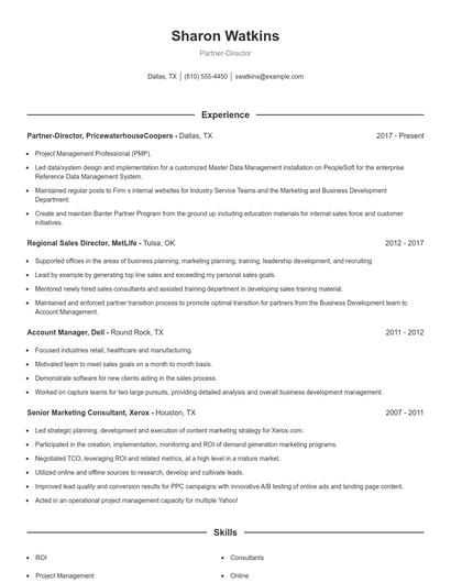 Partner-Director Resume