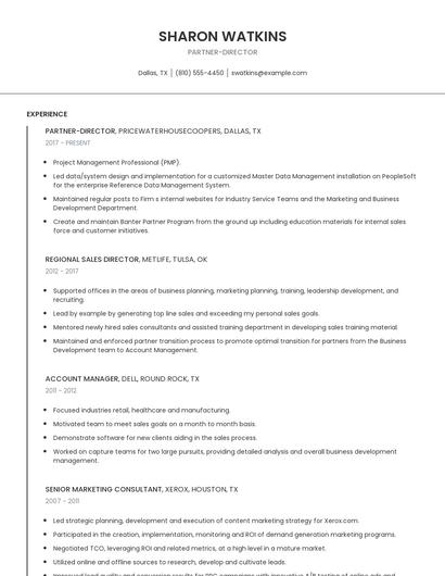 Partner-Director Resume