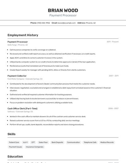 Payment Processor Resume