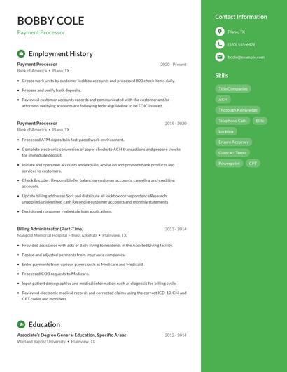 Payment Processor Resume