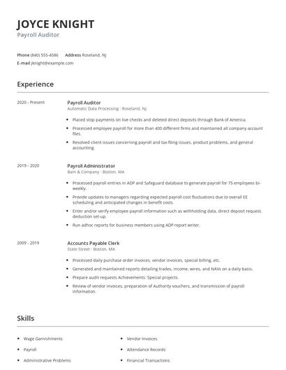 Payroll Auditor Resume