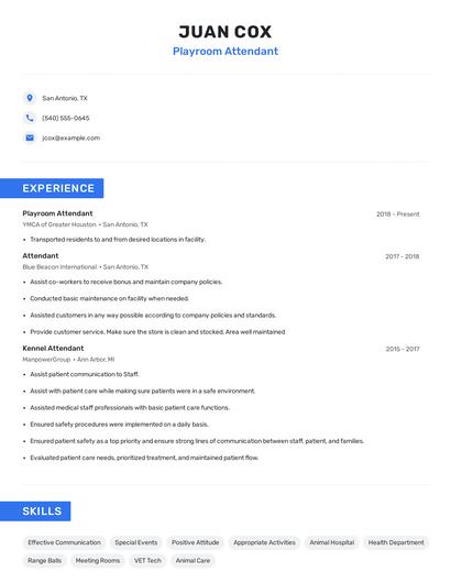 Playroom Attendant Resume