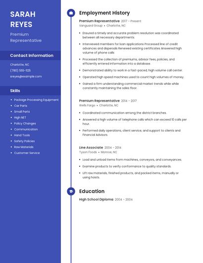 Premium Representative Resume